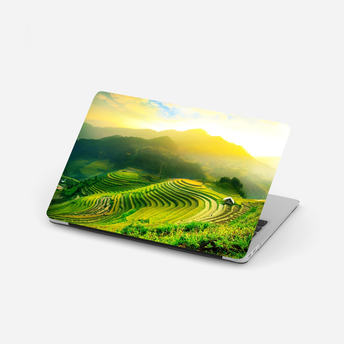 Laptop sticker golden terraced rice fields at sunrise