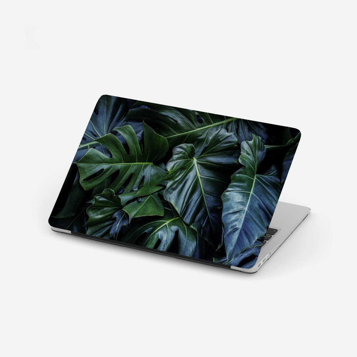 Laptop sticker lush tropical monstera foliage