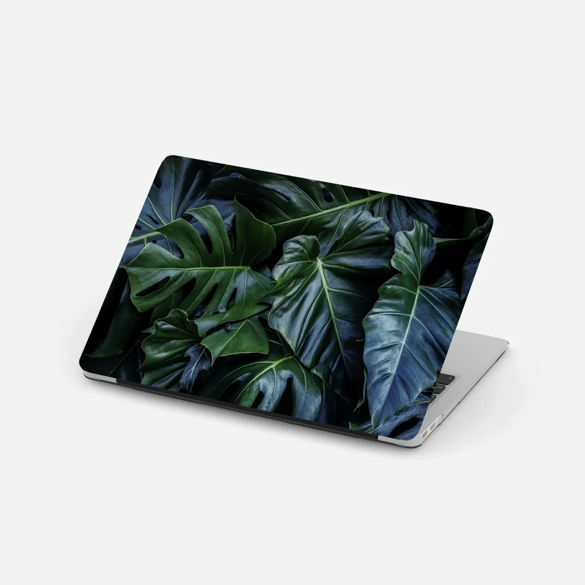 Naklejka na laptopa bujna tropikalna monstera – Wallissimo® Naklejka na laptopa bujna tropikalna monstera – Wallissimo®