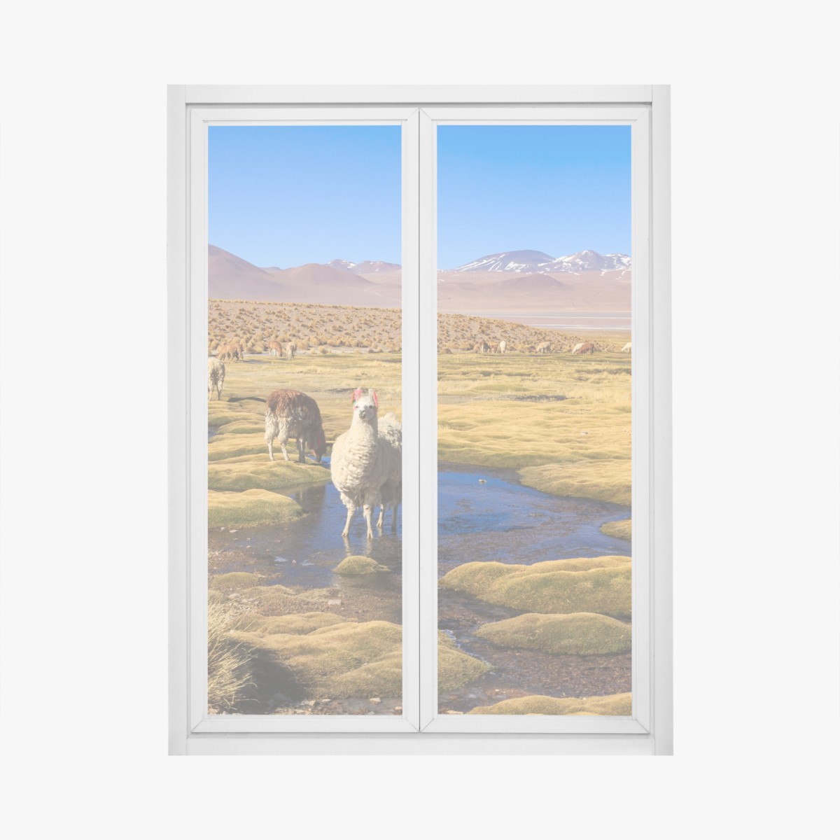 Window decal llama on the Andes altiplano