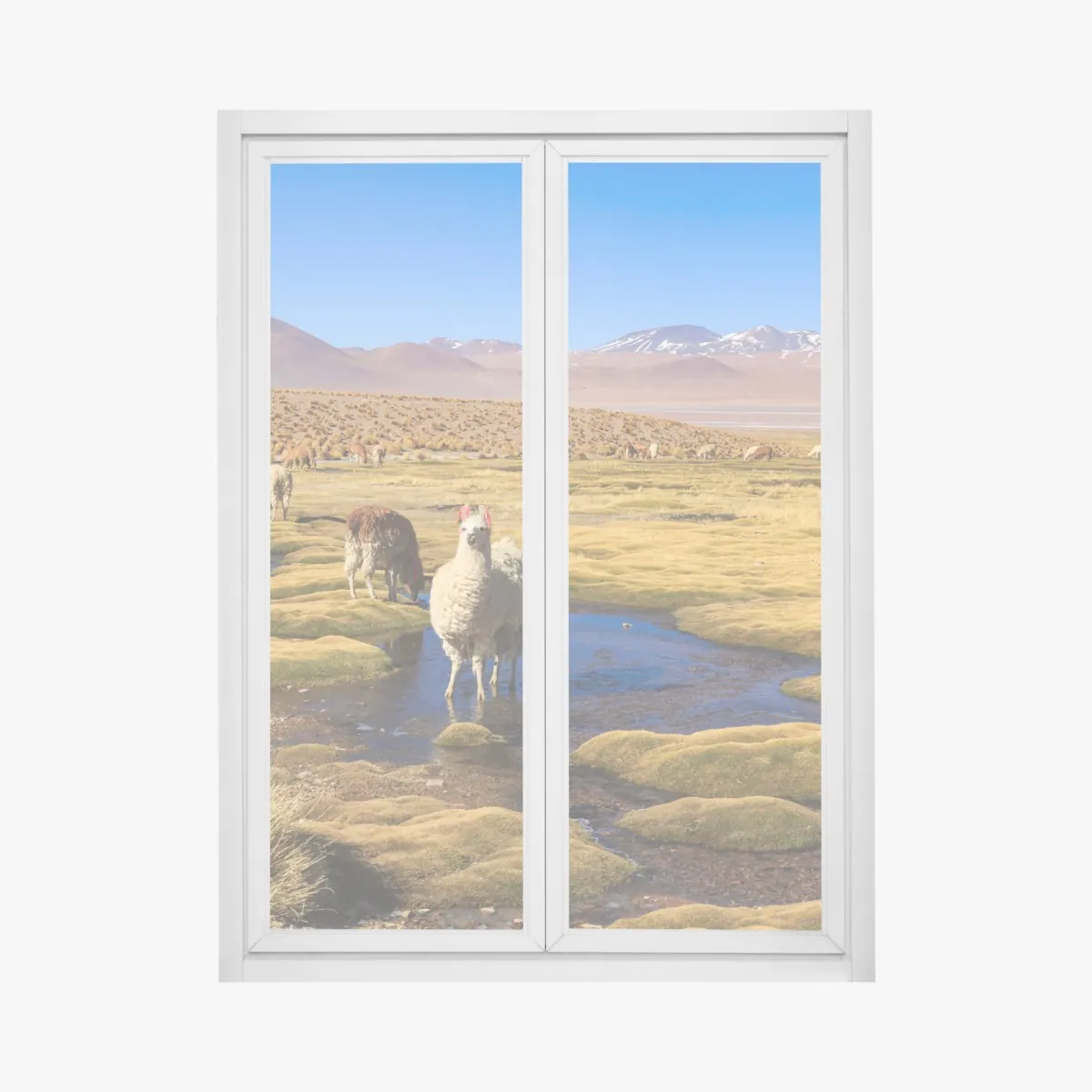 Naklejka na okno lamy na Altiplano – Wallissimo® Naklejka na okno lamy na Altiplano – Wallissimo®