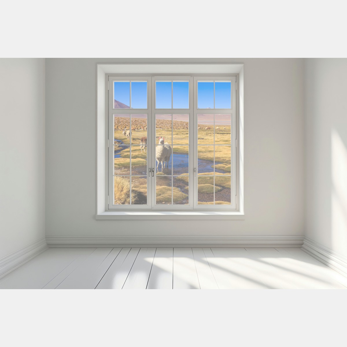 Naklejka na okno lamy na Altiplano – Wallissimo® Naklejka na okno lamy na Altiplano – Wallissimo®