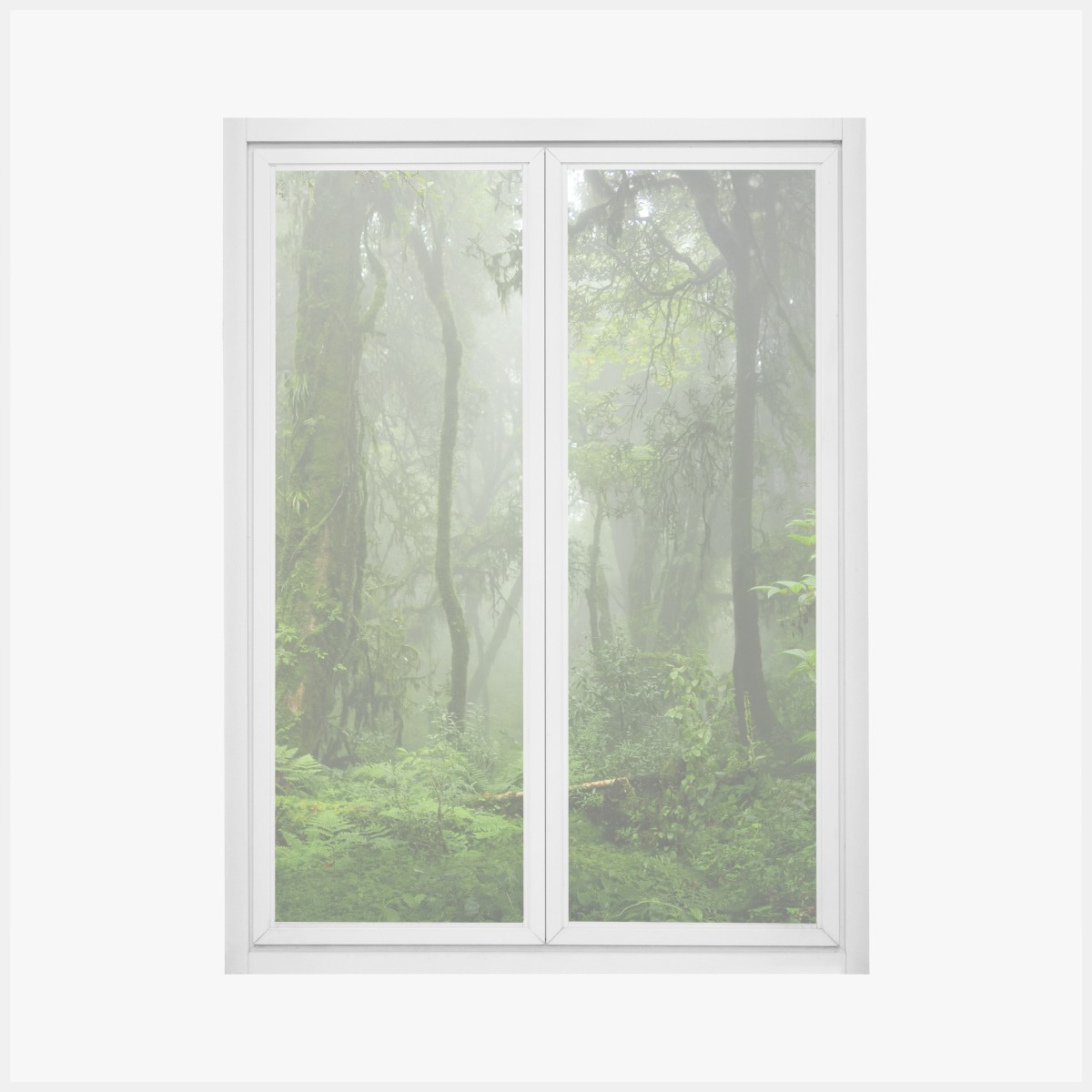 Window decal misty tropical jungle pathway