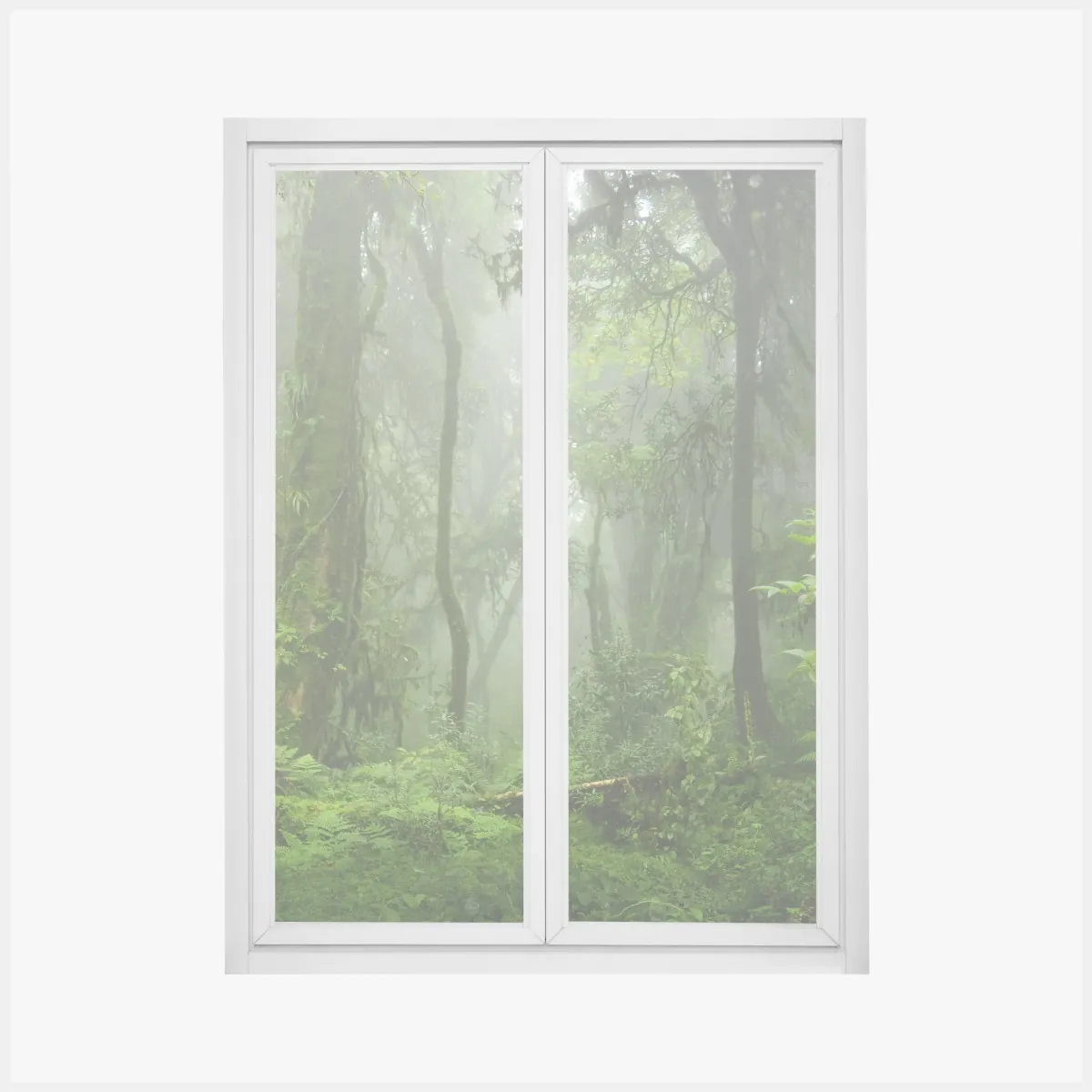 Naklejka na okno mglisty tropikalny szlak w dżungli – Wallissimo® Naklejka na okno mglisty tropikalny szlak w dżungli – Wallissimo®