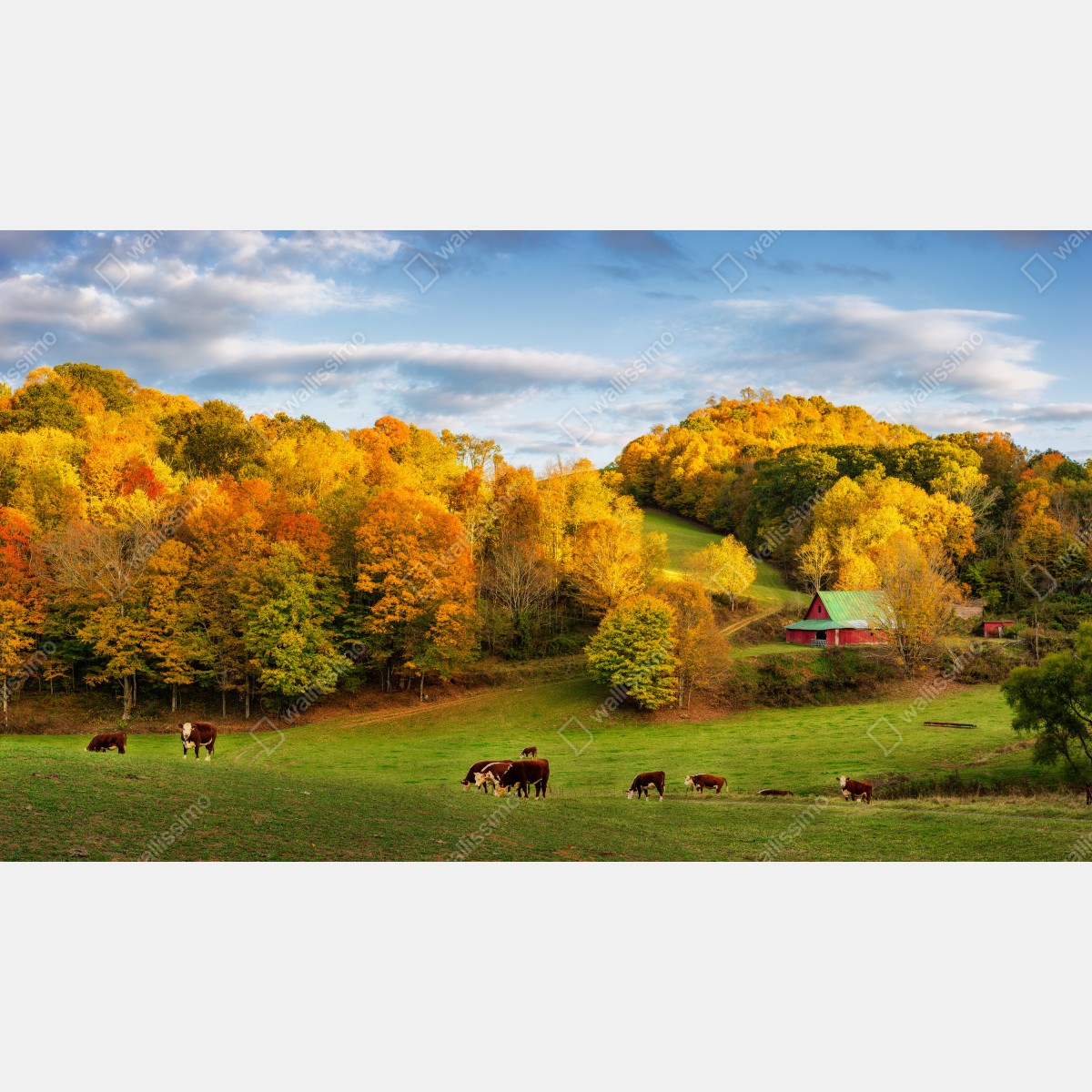 Naklejka na okno jesienny krajobraz wiejski z czerwoną stodołą – Wallissimo® Naklejka na okno jesienny krajobraz wiejski z czerwoną stodołą – Wallissimo®