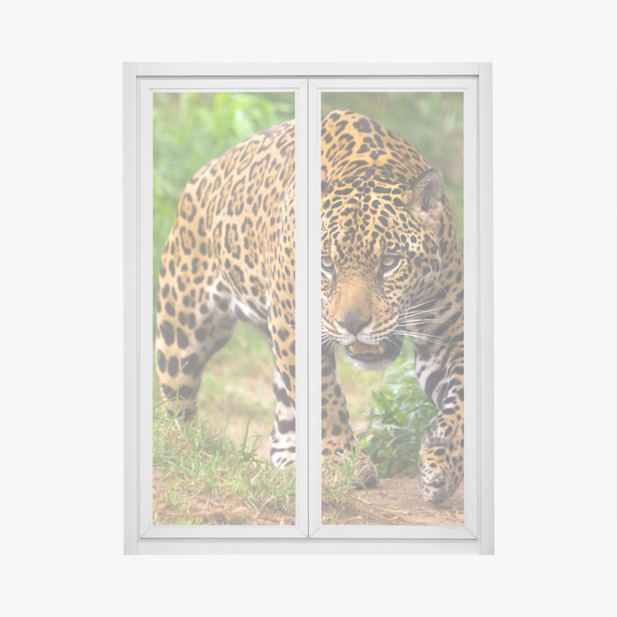 Window decal majestic jaguar in the wild