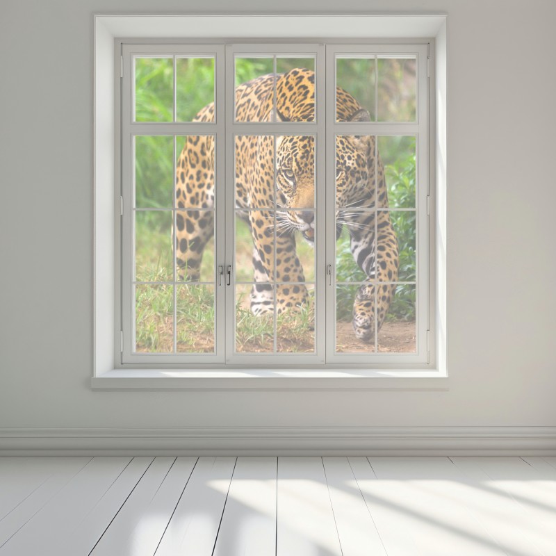 Naklejka na okno majestatyczny jaguar w naturze – Wallissimo® Naklejka na okno majestatyczny jaguar w naturze – Wallissimo®