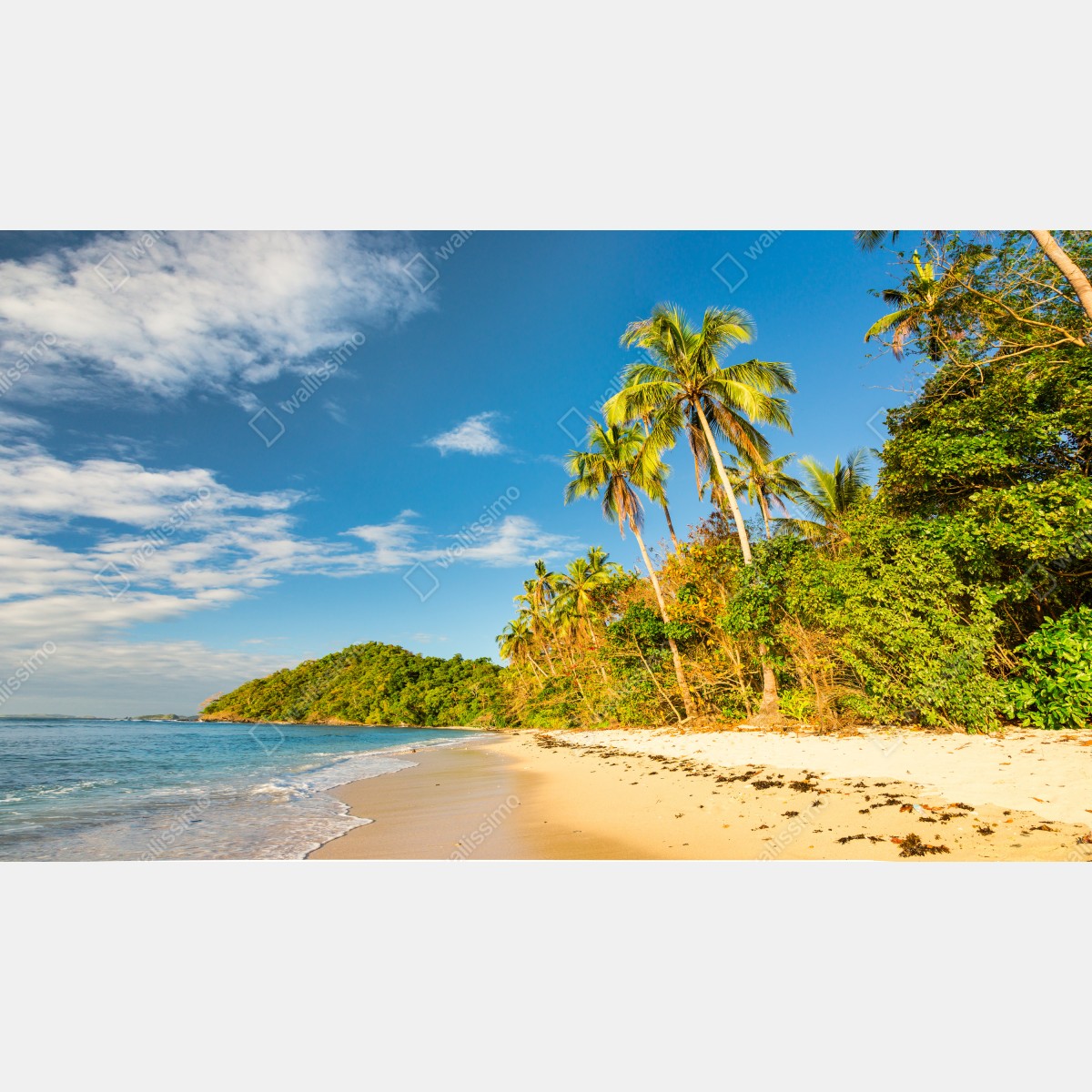 Naklejka na okno złota tropikalna plaża o zachodzie słońca – Wallissimo® Naklejka na okno złota tropikalna plaża o zachodzie słońca – Wallissimo®