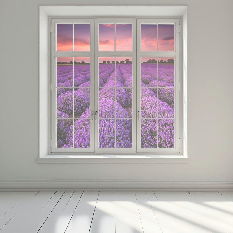 Naklejka na okno pole lawendy o zachodzie słońca – Wallissimo® Naklejka na okno pole lawendy o zachodzie słońca – Wallissimo®