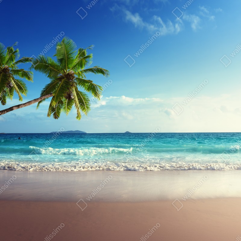 Naklejka na okno tropikalna plaża na Karaibach o zachodzie słońca – Wallissimo® Naklejka na okno tropikalna plaża na Karaibach o zachodzie słońca – Wallissimo®