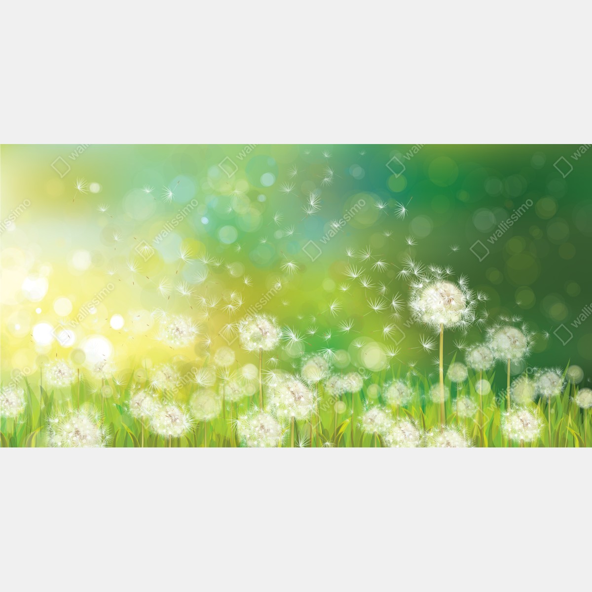 Naklejka na okno wiosenna łąka dmuchawców – Wallissimo® Naklejka na okno wiosenna łąka dmuchawców – Wallissimo®