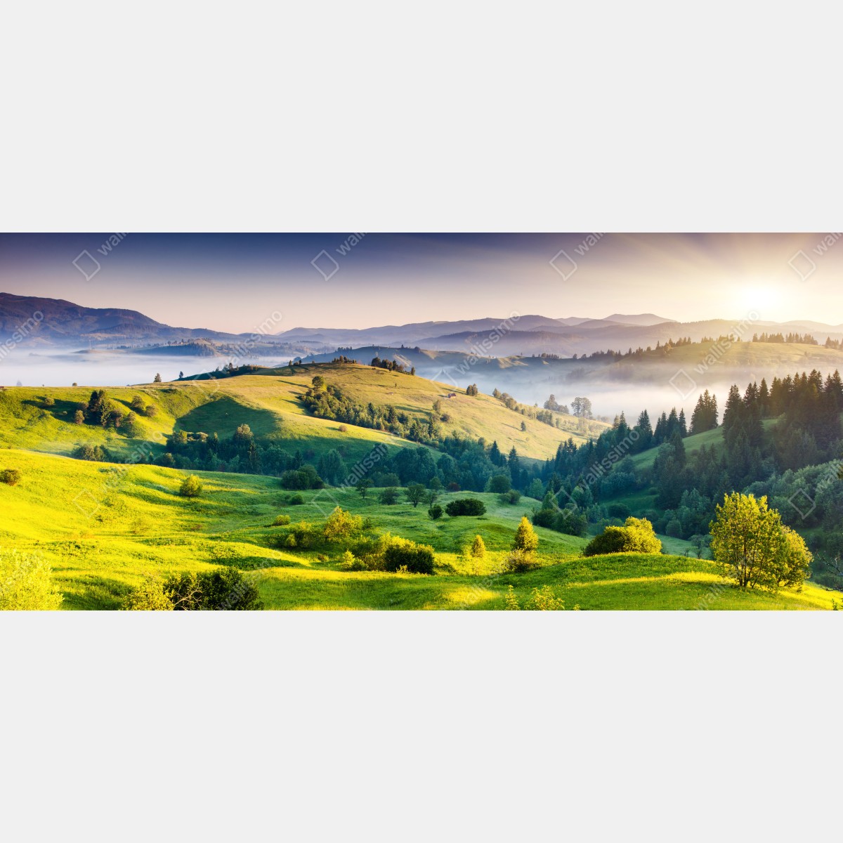 Naklejka na okno zachód słońca w Karpatych nad zielonymi wzgórzami – Wallissimo® Naklejka na okno zachód słońca w Karpatych nad zielonymi wzgórzami – Wallissimo®