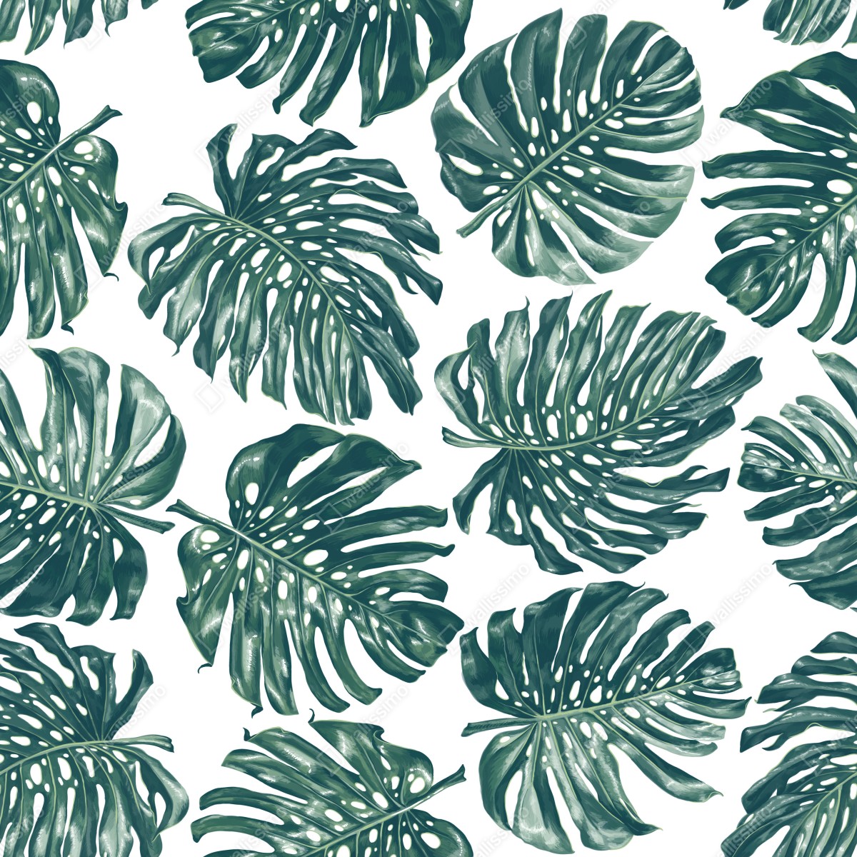 Naklejka na okno wzór botaniczny liści monstery – Wallissimo® Naklejka na okno wzór botaniczny liści monstery – Wallissimo®