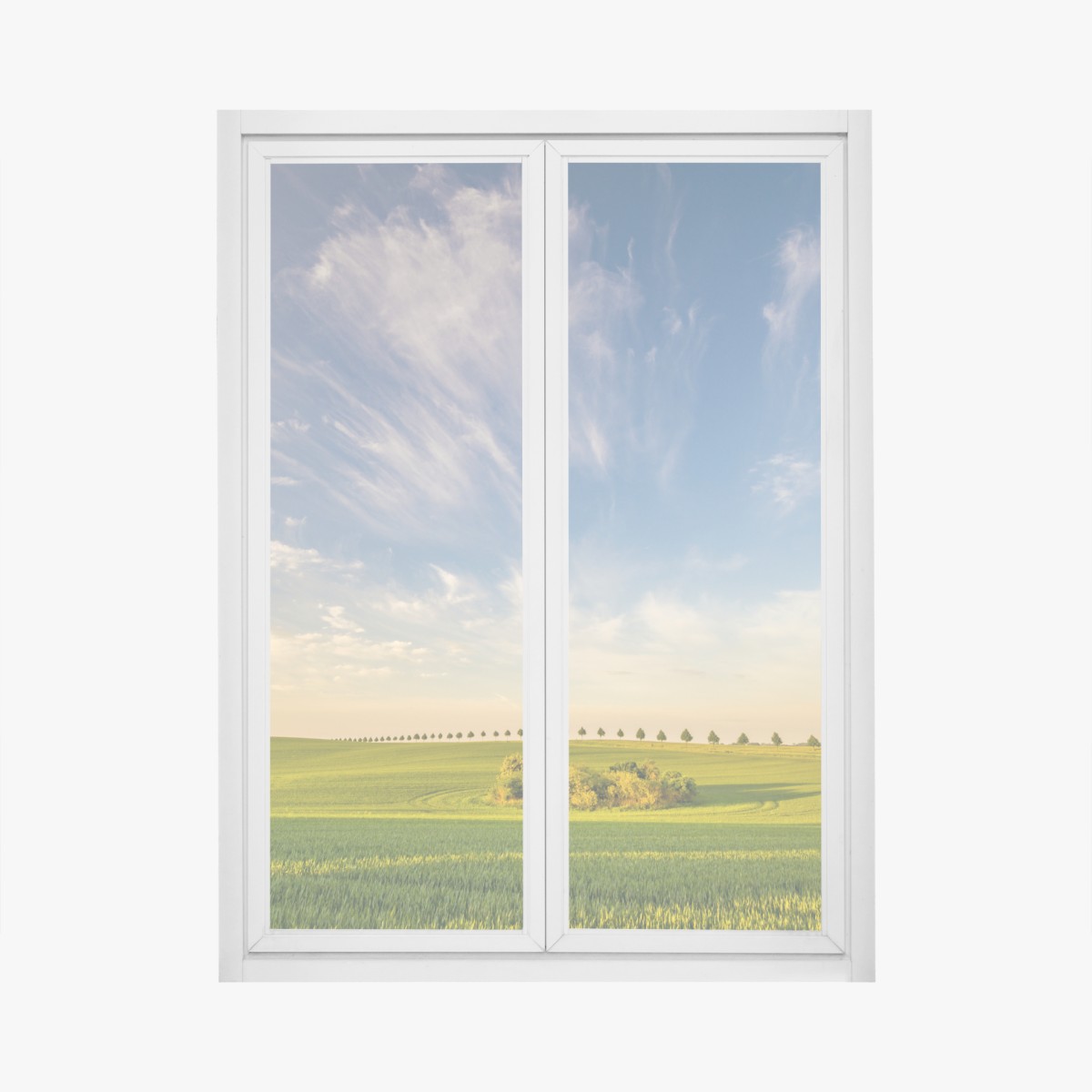 Window decal green meadow with a line of young trees