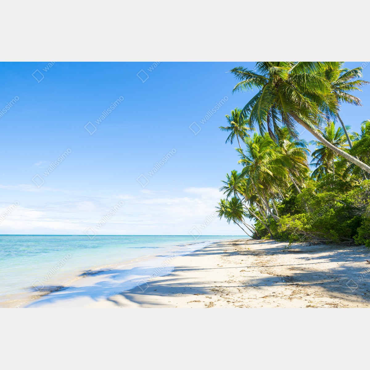 Naklejka na okno tropikalna plaża z palmami – Wallissimo® Naklejka na okno tropikalna plaża z palmami – Wallissimo®