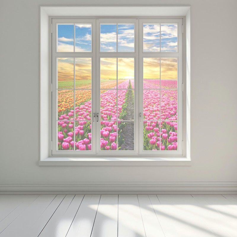 Naklejka na okno wschód słońca nad polami tulipanów w Holandii – Wallissimo® Naklejka na okno wschód słońca nad polami tulipanów w Holandii – Wallissimo®