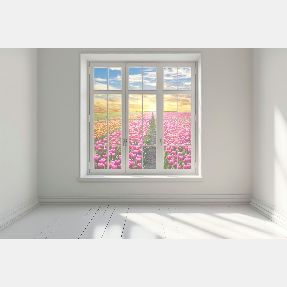 Naklejka na okno wschód słońca nad polami tulipanów w Holandii – Wallissimo® Naklejka na okno wschód słońca nad polami tulipanów w Holandii – Wallissimo®