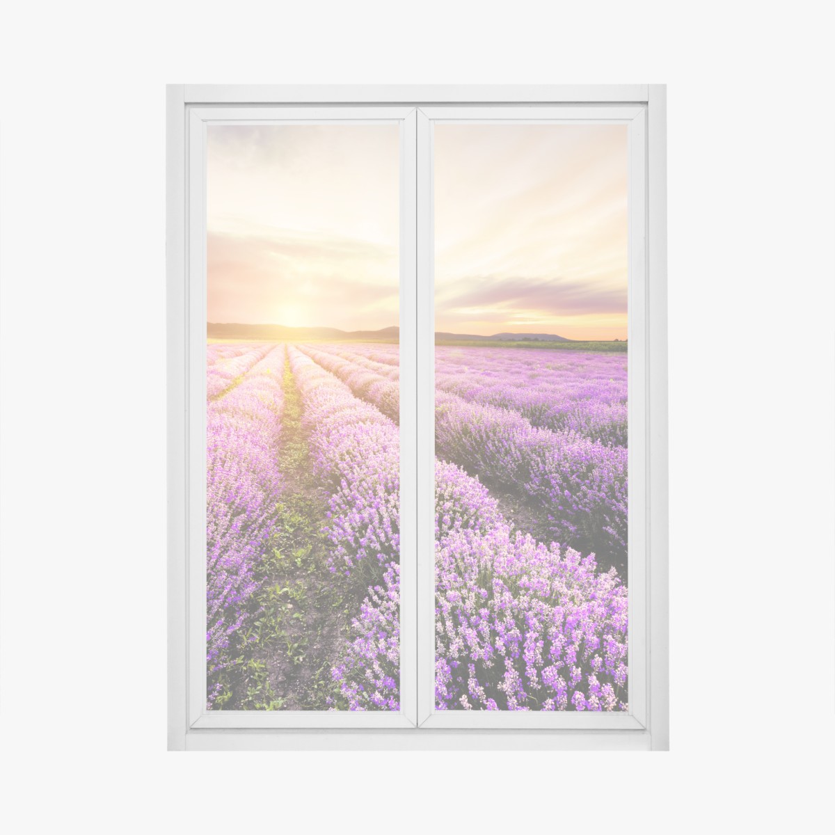 Window decal sunrise over lavender fields, Bulgaria