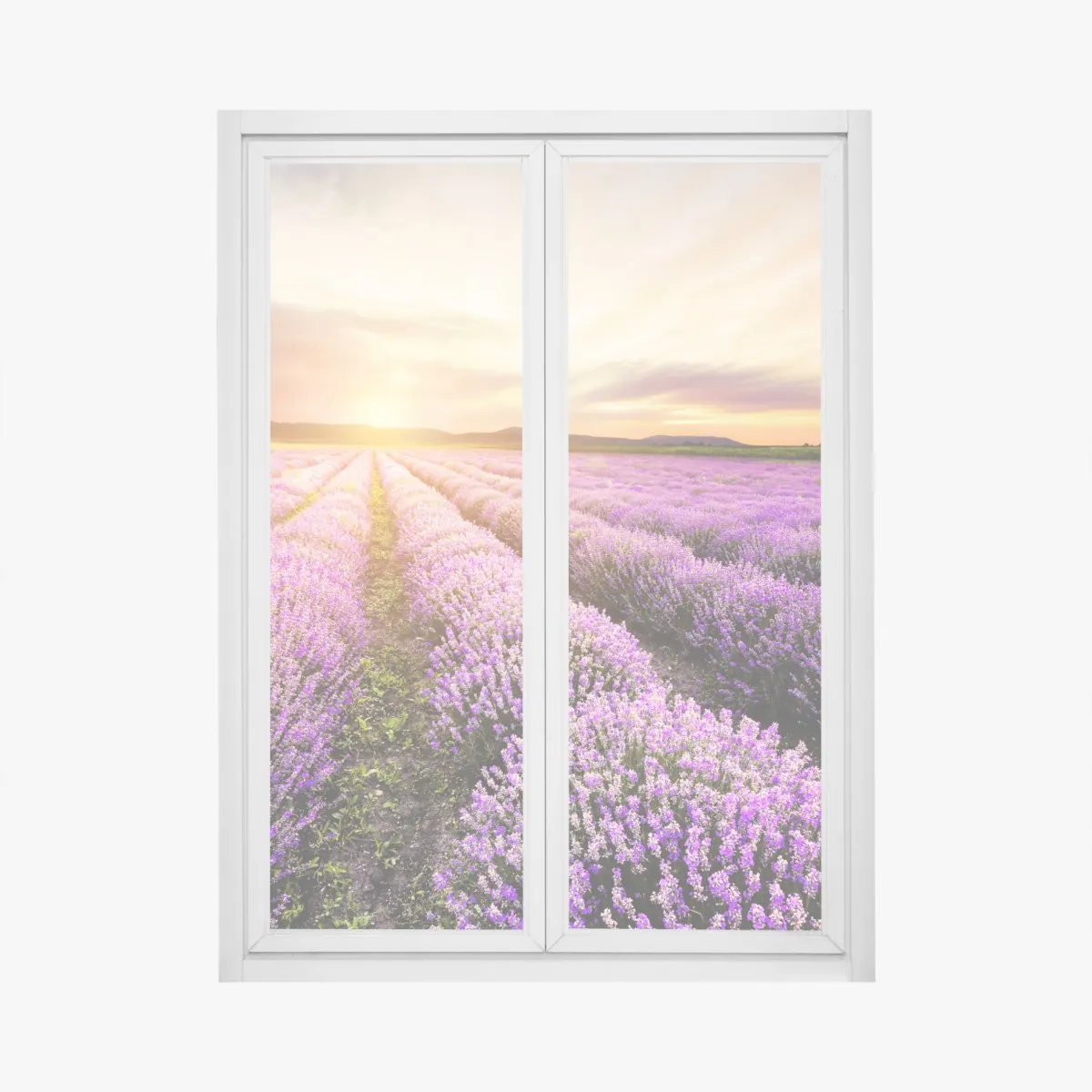 Naklejka na okno wschód słońca nad polami lawendy – Wallissimo® Naklejka na okno wschód słońca nad polami lawendy – Wallissimo®