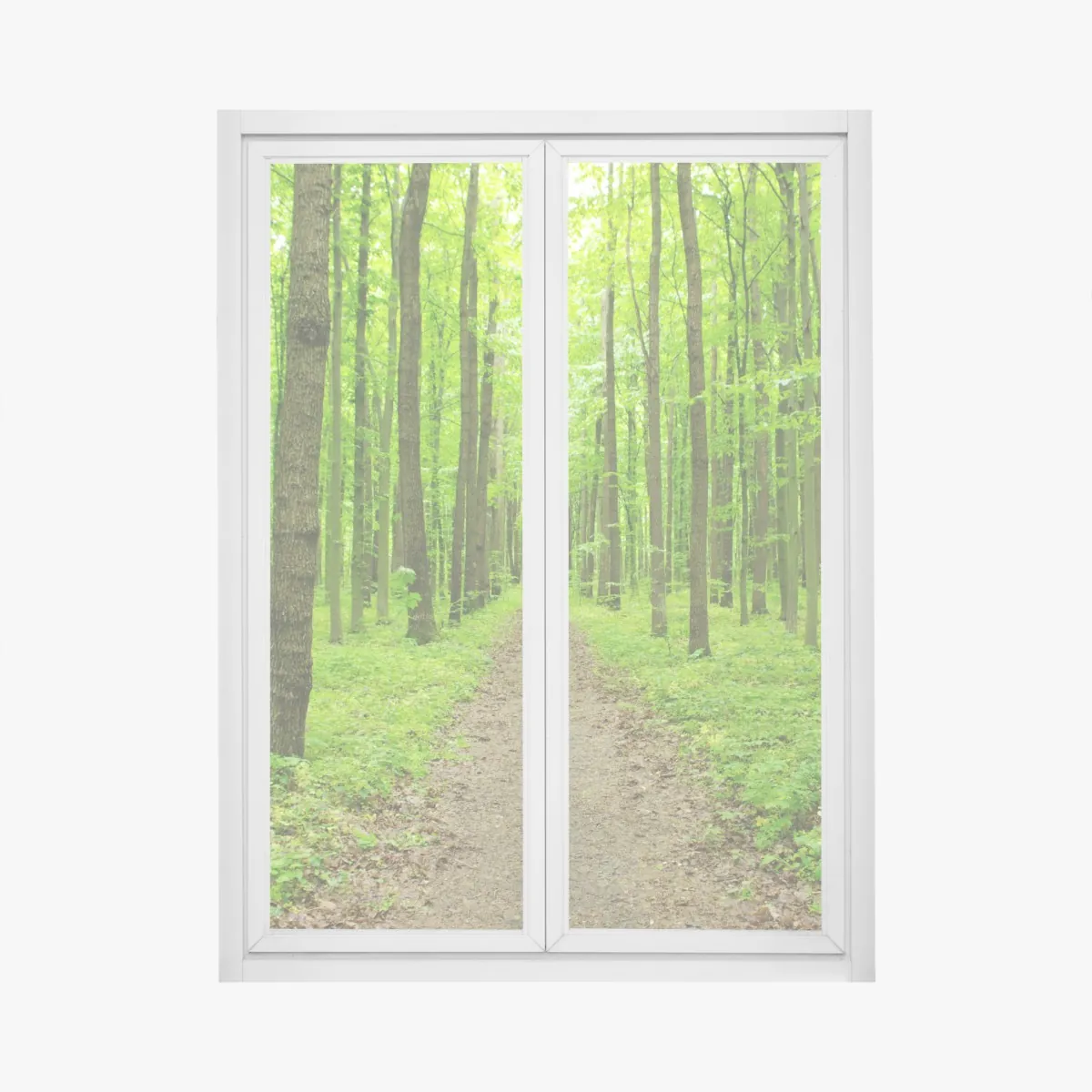 Naklejka na okno spokojna zielona ścieżka w lesie – Wallissimo® Naklejka na okno spokojna zielona ścieżka w lesie – Wallissimo®
