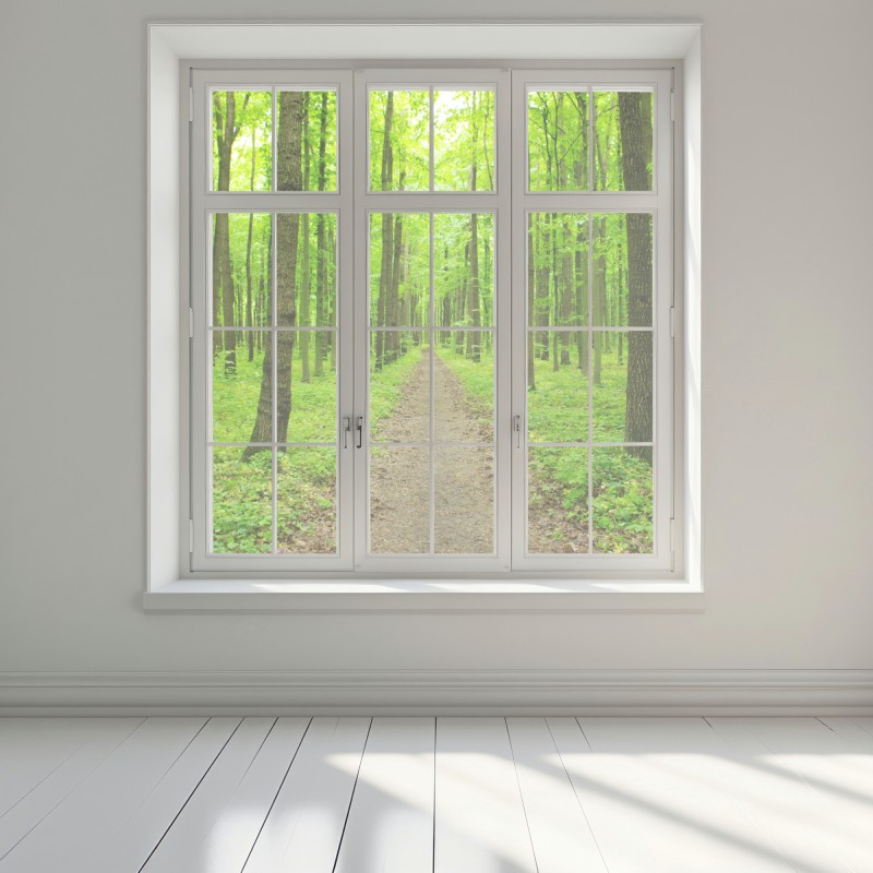 Naklejka na okno spokojna zielona ścieżka w lesie – Wallissimo® Naklejka na okno spokojna zielona ścieżka w lesie – Wallissimo®