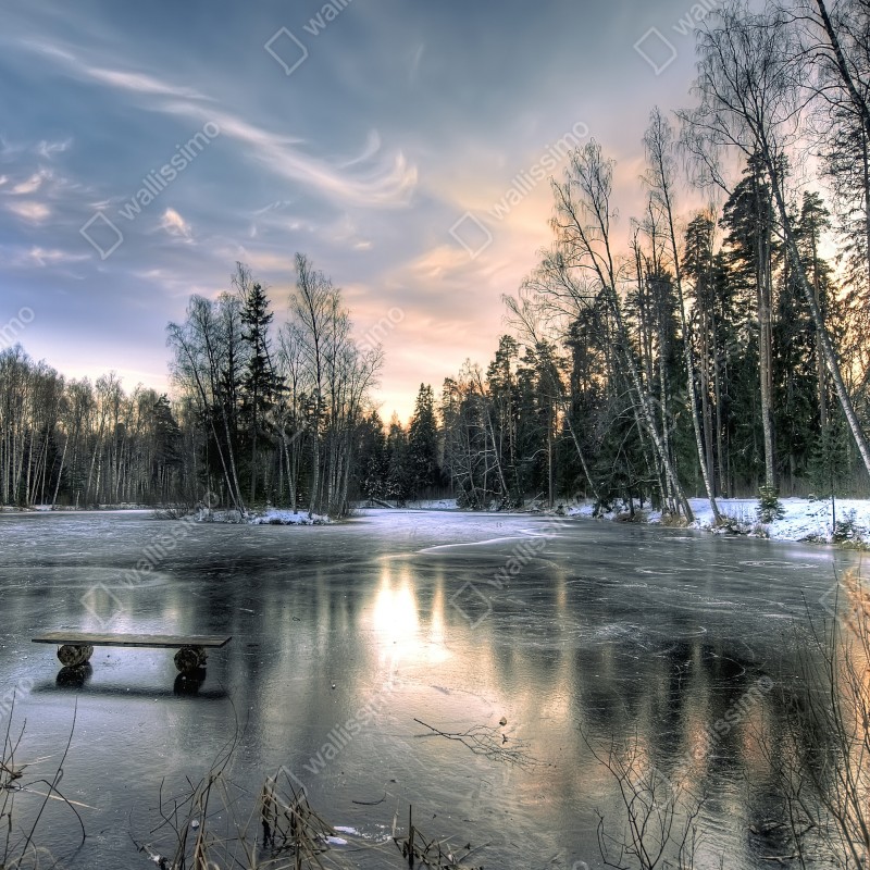 Naklejka na okno zamarznięte jezioro o świcie z leśnym odbiciem – Wallissimo® Naklejka na okno zamarznięte jezioro o świcie z leśnym odbiciem – Wallissimo®