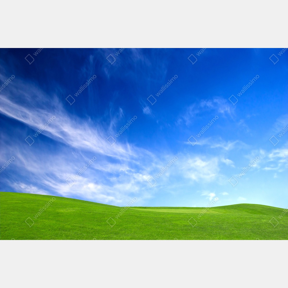 Naklejka na okno słoneczna zielona łąka pod niebieskim niebem – Wallissimo® Naklejka na okno słoneczna zielona łąka pod niebieskim niebem – Wallissimo®