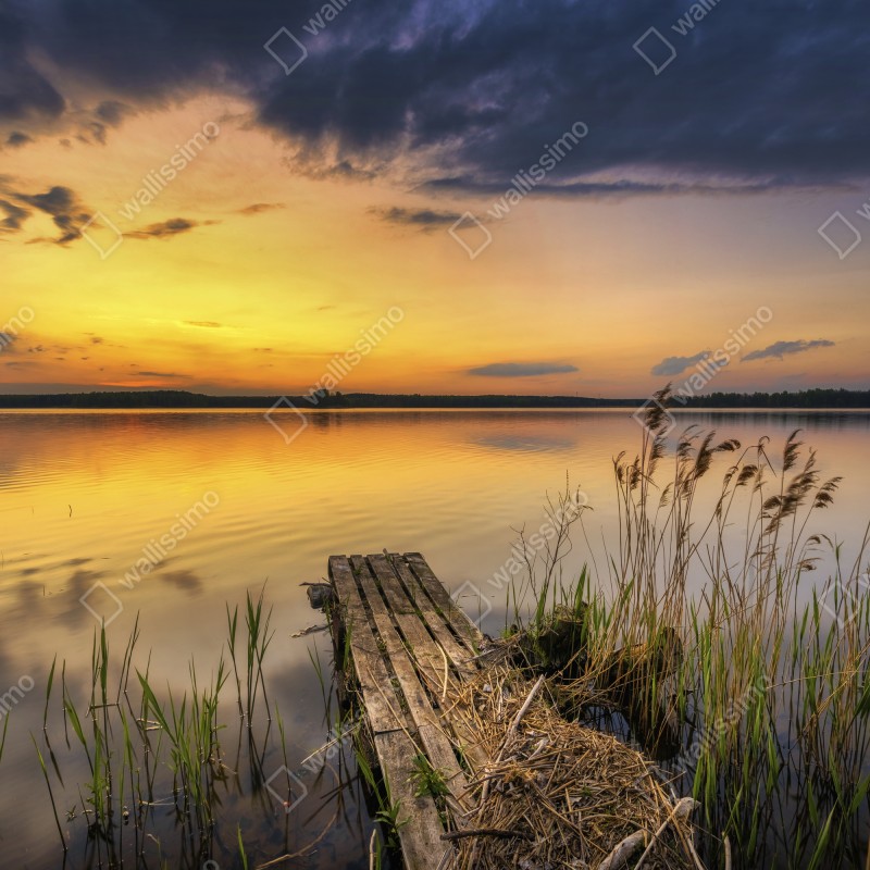 Naklejka na okno złoty zachód słońca nad jeziorem – Wallissimo® Naklejka na okno złoty zachód słońca nad jeziorem – Wallissimo®