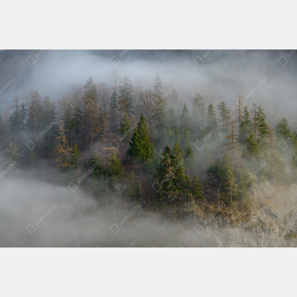 Naklejka na okno mglisty górski las – Wallissimo® Naklejka na okno mglisty górski las – Wallissimo®