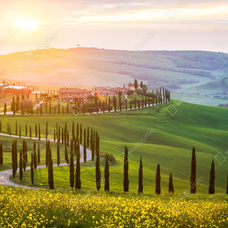 Naklejka na okno wschód słońca w Toskanii – Wallissimo® Naklejka na okno wschód słońca w Toskanii – Wallissimo®