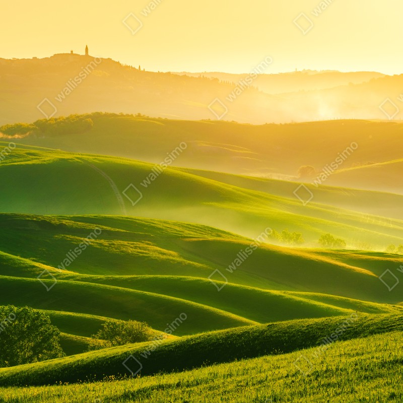 Naklejka na okno złoty wschód słońca nad zielonymi falującymi wzgórzami – Wallissimo® Naklejka na okno złoty wschód słońca nad zielonymi falującymi wzgórzami – Wallissimo®