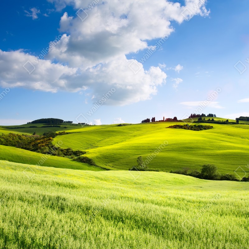 Naklejka na okno Toskania zielone wzgórza o zachodzie słońca – Wallissimo® Naklejka na okno Toskania zielone wzgórza o zachodzie słońca – Wallissimo®