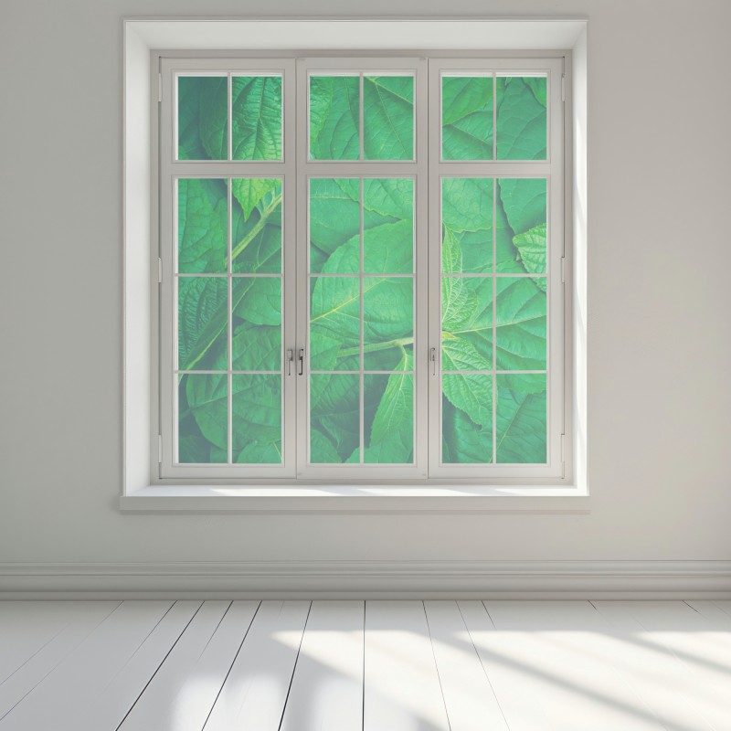 Naklejka na okno soczyste zielone liście – Wallissimo® Naklejka na okno soczyste zielone liście – Wallissimo®
