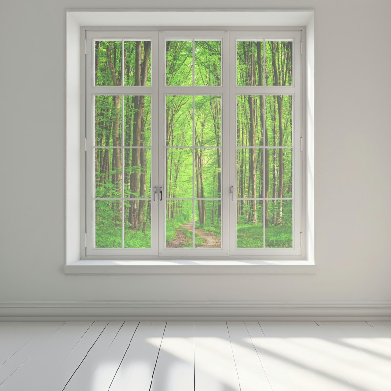 Naklejka na okno bujna zielona leśna ścieżka – Wallissimo® Naklejka na okno bujna zielona leśna ścieżka – Wallissimo®