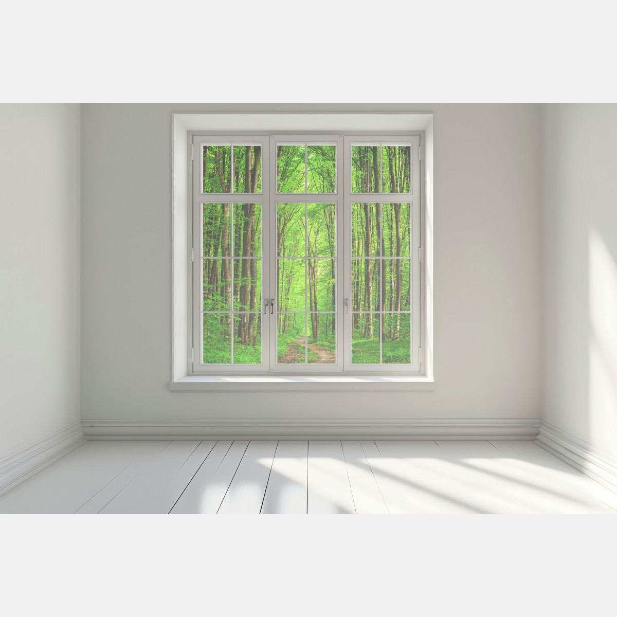 Naklejka na okno bujna zielona leśna ścieżka – Wallissimo® Naklejka na okno bujna zielona leśna ścieżka – Wallissimo®