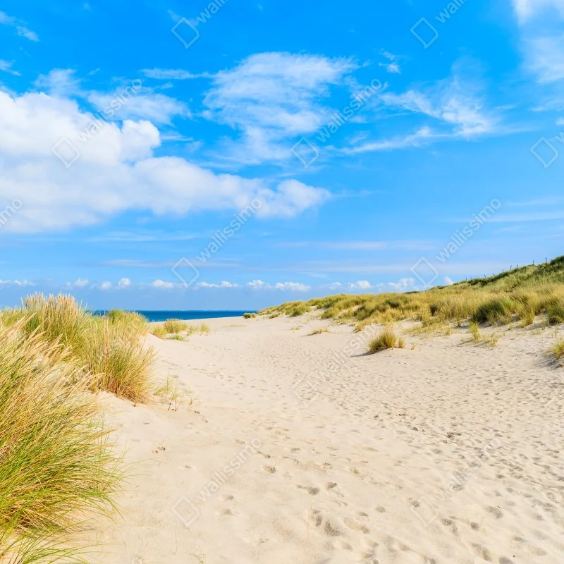 Naklejka na okno spokojne wydmy Sylt z latarnią morską – Wallissimo® Naklejka na okno spokojne wydmy Sylt z latarnią morską – Wallissimo®