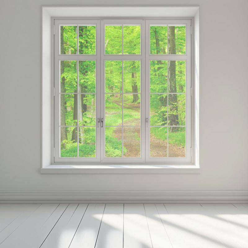 Naklejka na okno spokojna leśna ścieżka wiosną – Wallissimo® Naklejka na okno spokojna leśna ścieżka wiosną – Wallissimo®