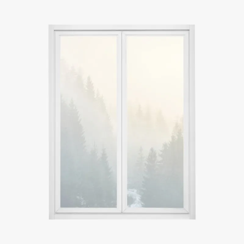 Naklejka na okno mglisty las świerkowy o wschodzie słońca