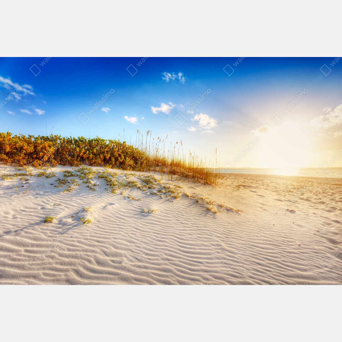 Naklejka na okno zachód słońca nad wydmami Grace Bay – Wallissimo® Naklejka na okno zachód słońca nad wydmami Grace Bay – Wallissimo®