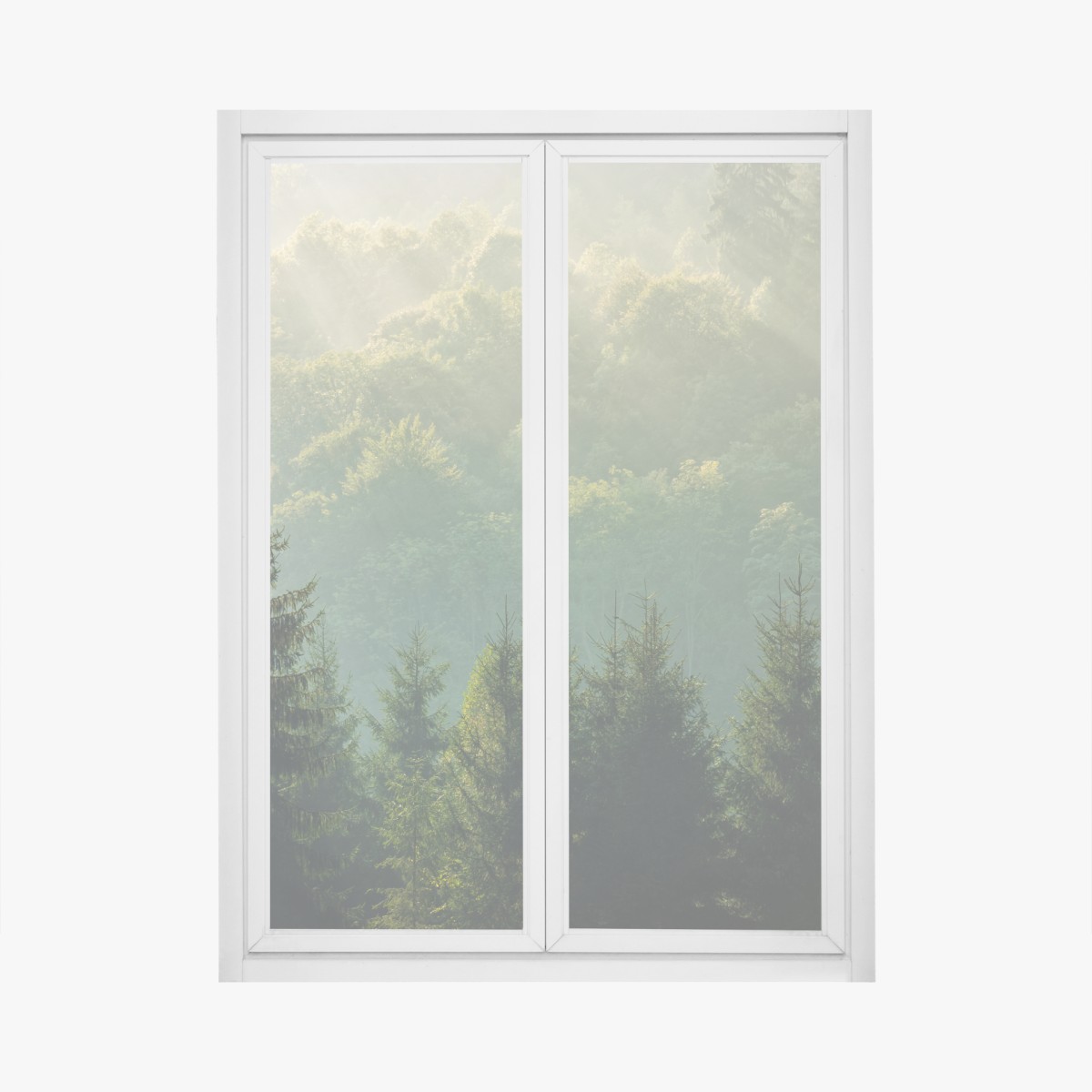 Window decal misty Carpathian spruce forest at sunrise