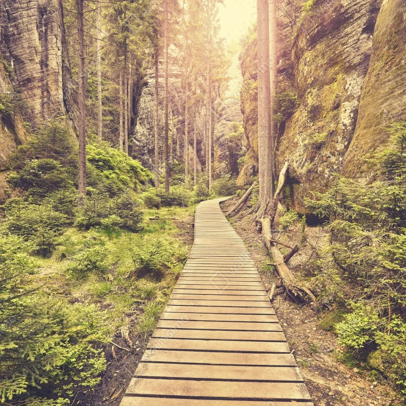 Naklejka na okno słoneczna drewniana kładka w Adrspach Teplice – Wallissimo® Naklejka na okno słoneczna drewniana kładka w Adrspach Teplice – Wallissimo®