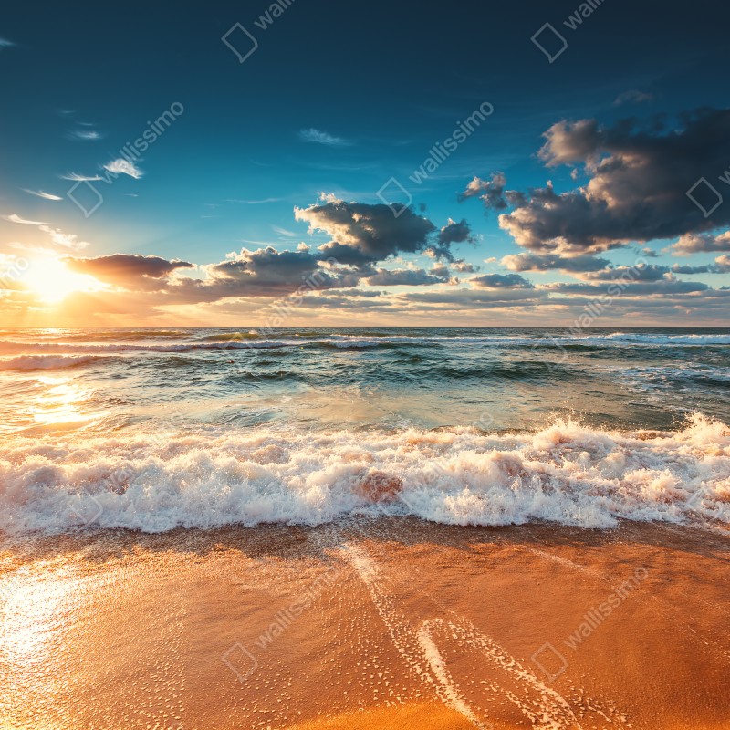 Naklejka na okno złoty wschód słońca nad brzegiem morza – Wallissimo® Naklejka na okno złoty wschód słońca nad brzegiem morza – Wallissimo®