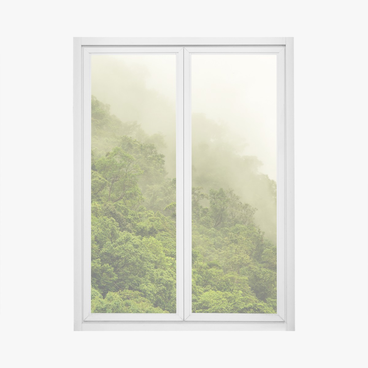 Window decal misty rainforest near Cairns