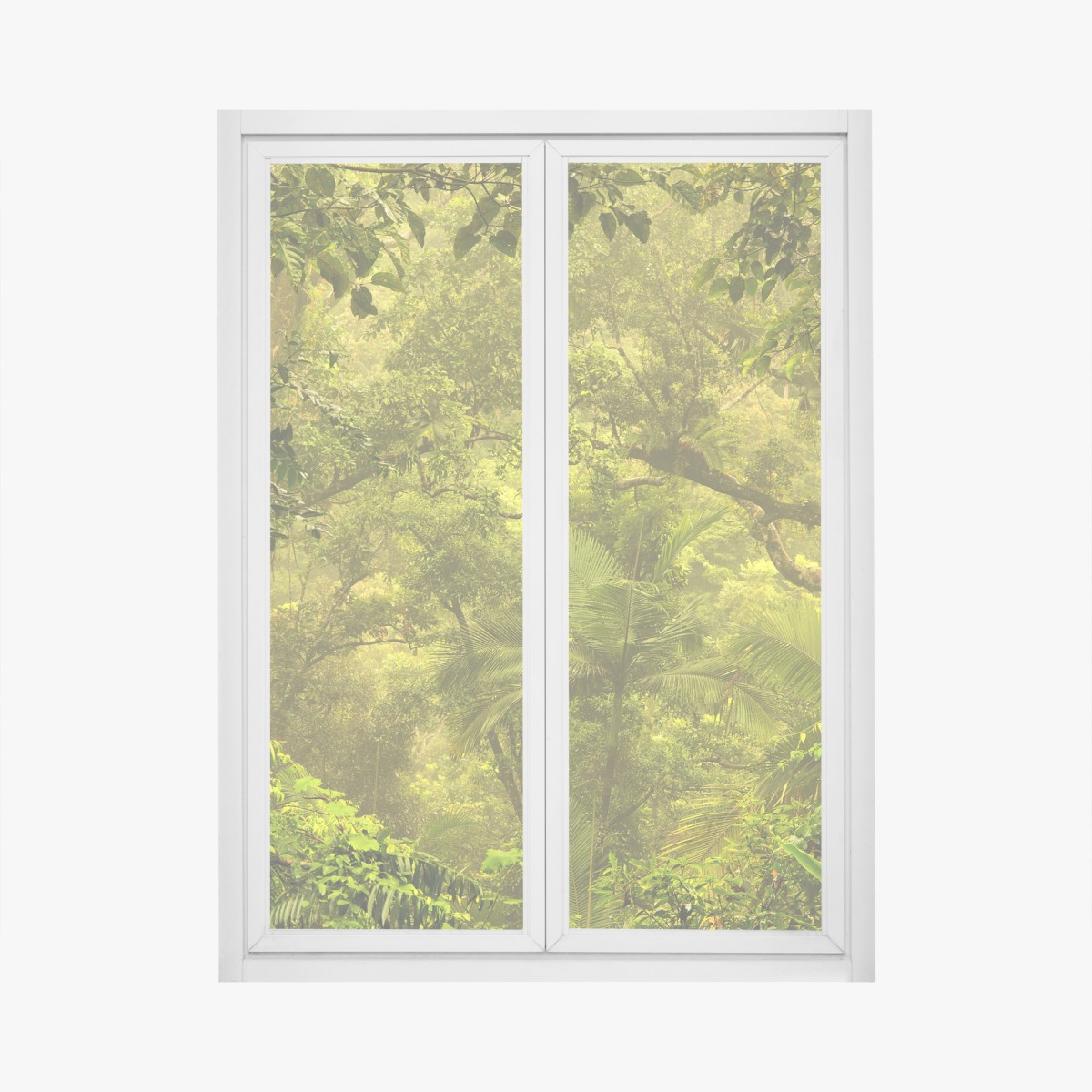 Window decal lush rainforest canopy near Cairns