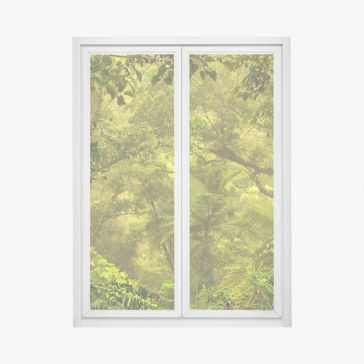 Naklejka na okno bujna pokrywa lasu deszczowego przy Cairns – Wallissimo® Naklejka na okno bujna pokrywa lasu deszczowego przy Cairns – Wallissimo®