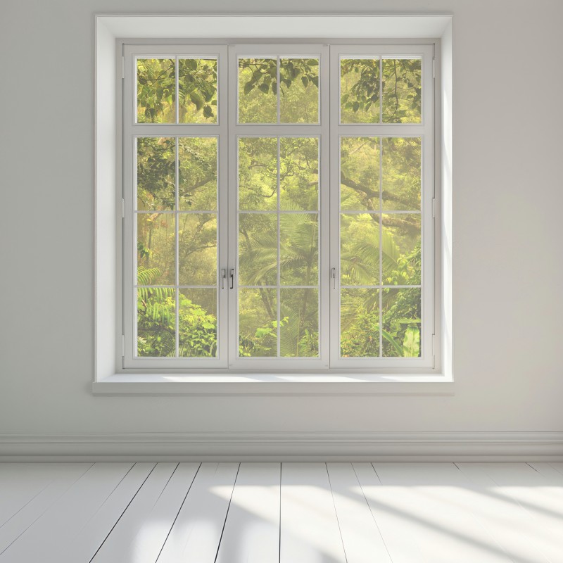 Naklejka na okno bujna pokrywa lasu deszczowego przy Cairns – Wallissimo® Naklejka na okno bujna pokrywa lasu deszczowego przy Cairns – Wallissimo®