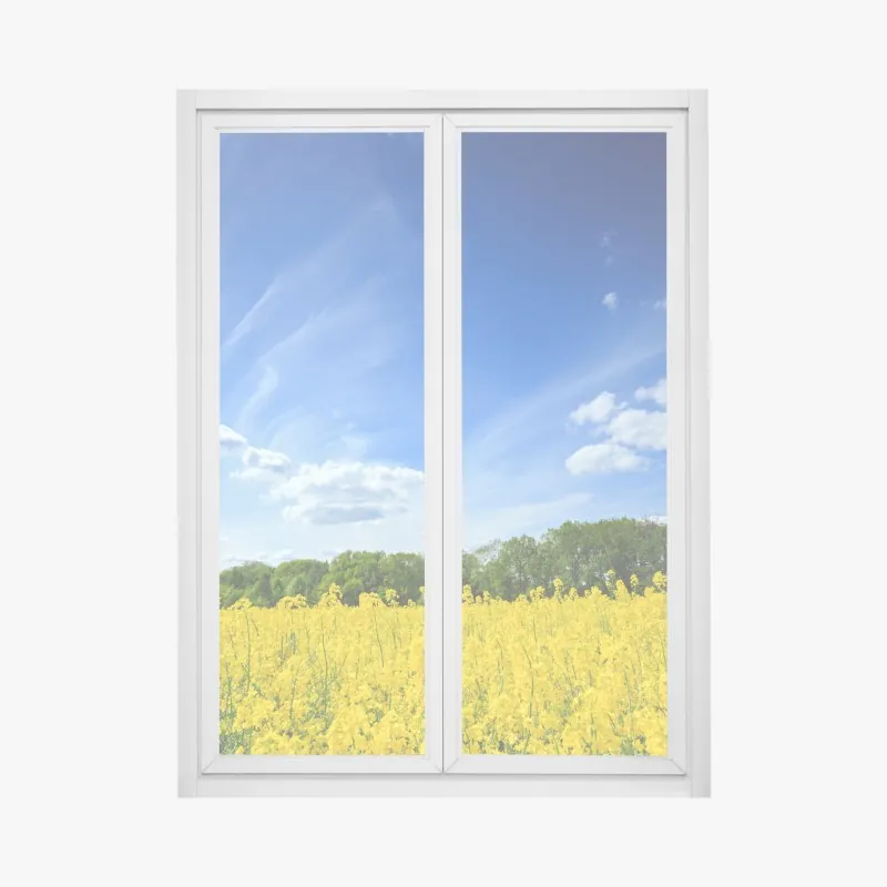 Naklejka na okno Polskie pole rzepaku pod błękitnym niebem