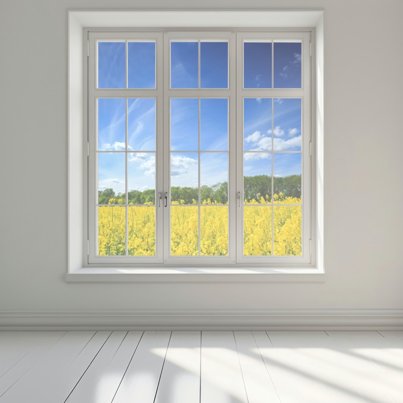 Naklejka na okno Polskie pole rzepaku pod błękitnym niebem – Wallissimo® Naklejka na okno Polskie pole rzepaku pod błękitnym niebem – Wallissimo®