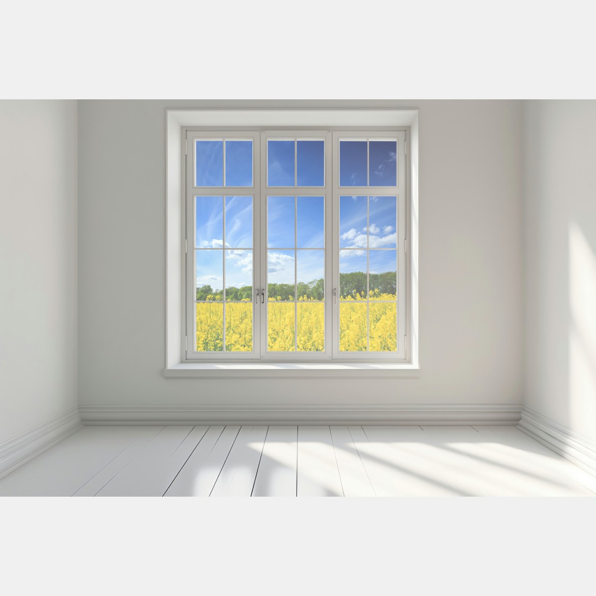 Naklejka na okno Polskie pole rzepaku pod błękitnym niebem – Wallissimo® Naklejka na okno Polskie pole rzepaku pod błękitnym niebem – Wallissimo®