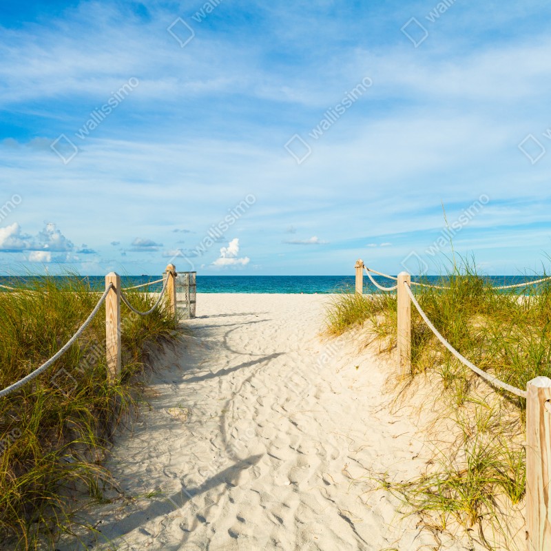 Naklejka na okno ścieżka na plażę w Miami – Wallissimo® Naklejka na okno ścieżka na plażę w Miami – Wallissimo®